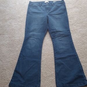 Sofia Vergara Tall Melisa Flare leg Jeans